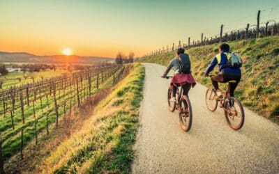 Everything to Know About Biking in Sonoma County’s Wine Country